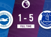 开云体育登录-布莱顿客场战平，保级之路不远的简单介绍