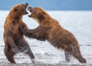 开云体育官方网站-激战连场！球队倾尽全力，壮志凌云晋级其次的简单介绍