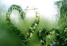 开云体育平台APP-德国网球队完胜法国网球队，西西帕斯高光表现的简单介绍