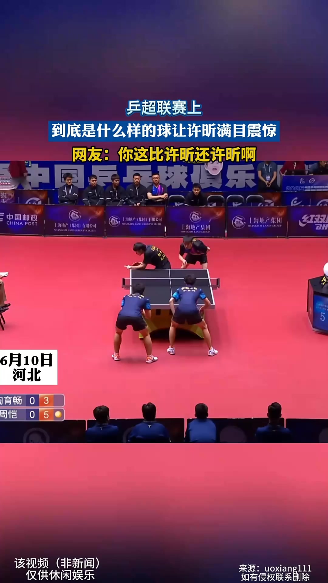 法国乒乓球队翻盘日本乒乓球队，许昕关键制胜的简单介绍