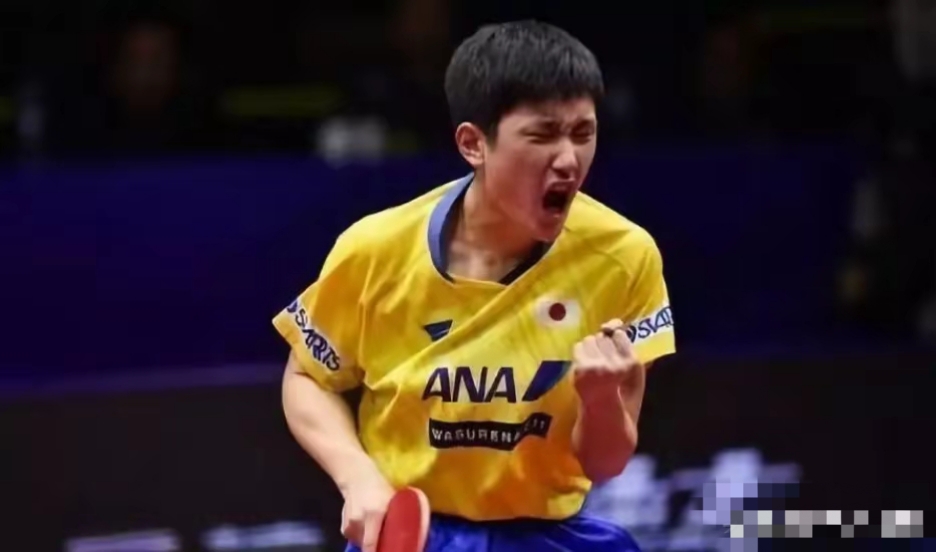 法国乒乓球队翻盘日本乒乓球队，许昕关键制胜的简单介绍