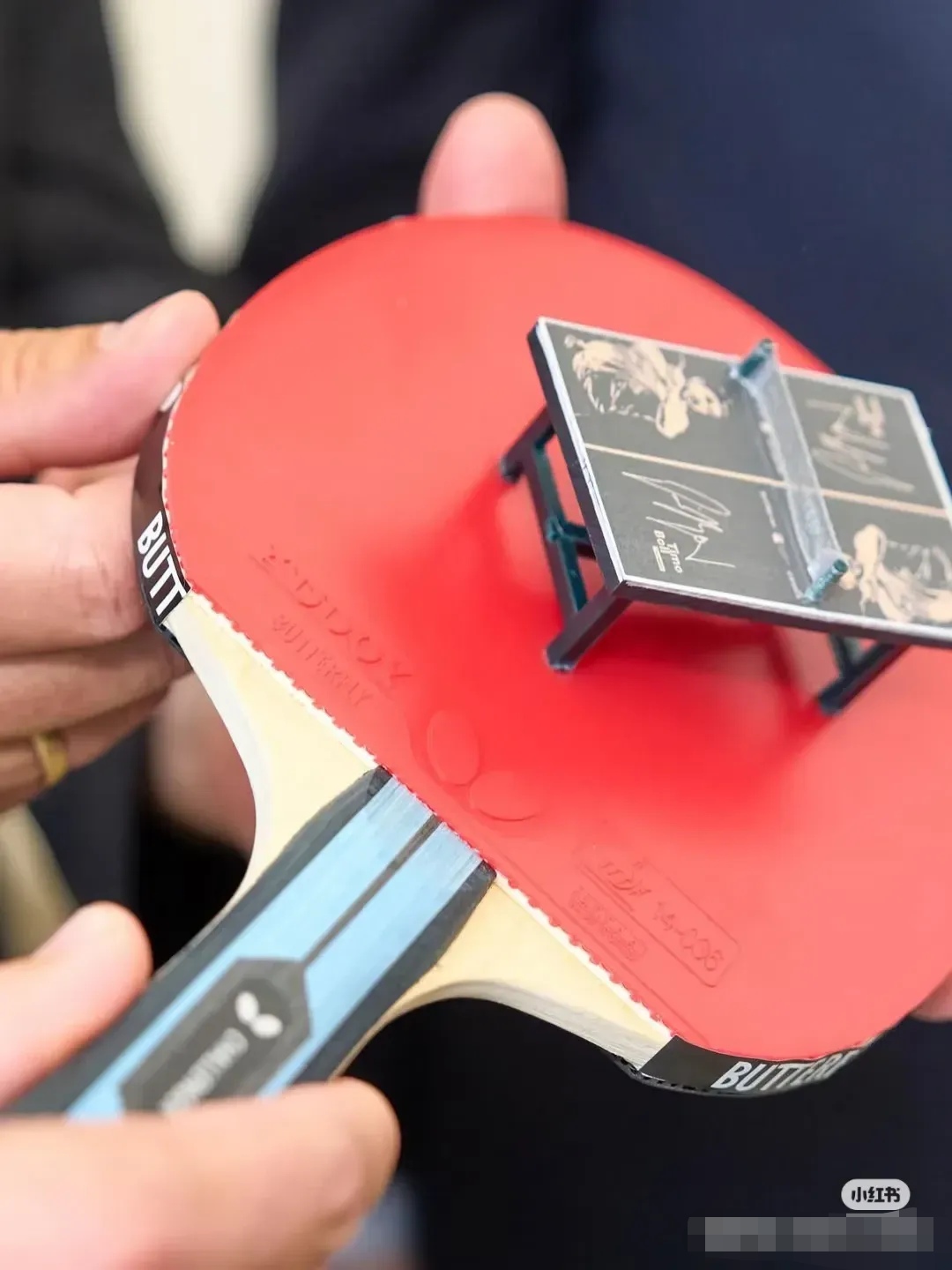 英国乒乓球队完胜奥地利乒乓球队，波尔高光表现的简单介绍