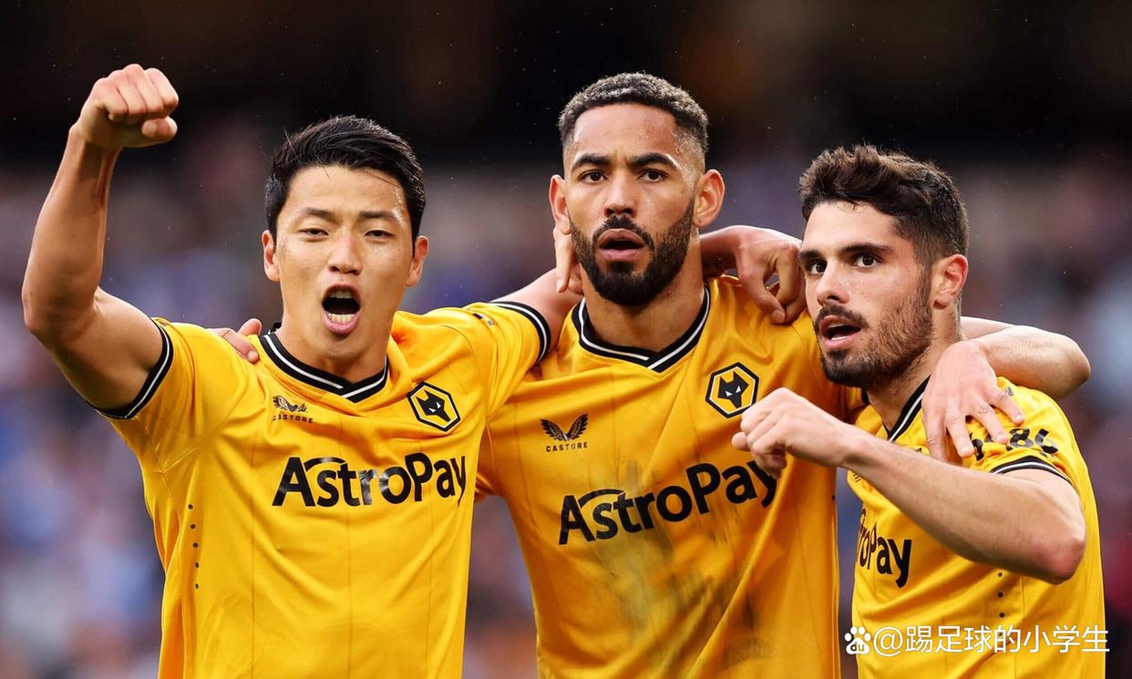 狼队主场告捷！成功战胜对手，保持不败的简单介绍