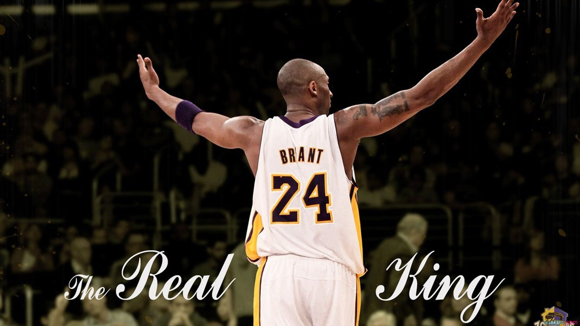 当橙色封锁红龙，莱奥拉满评分的战术密码与威尔士的叹息