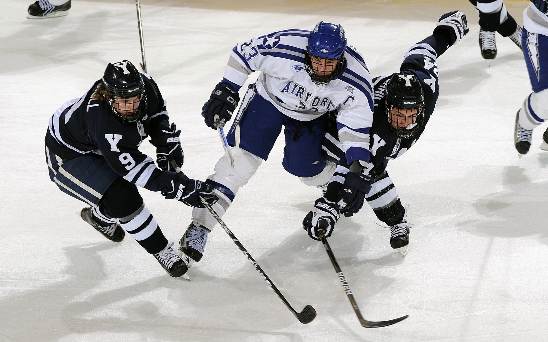 赛道上的孤勇者，皮亚斯特里如何扛起雷诺鏖战威廉姆斯