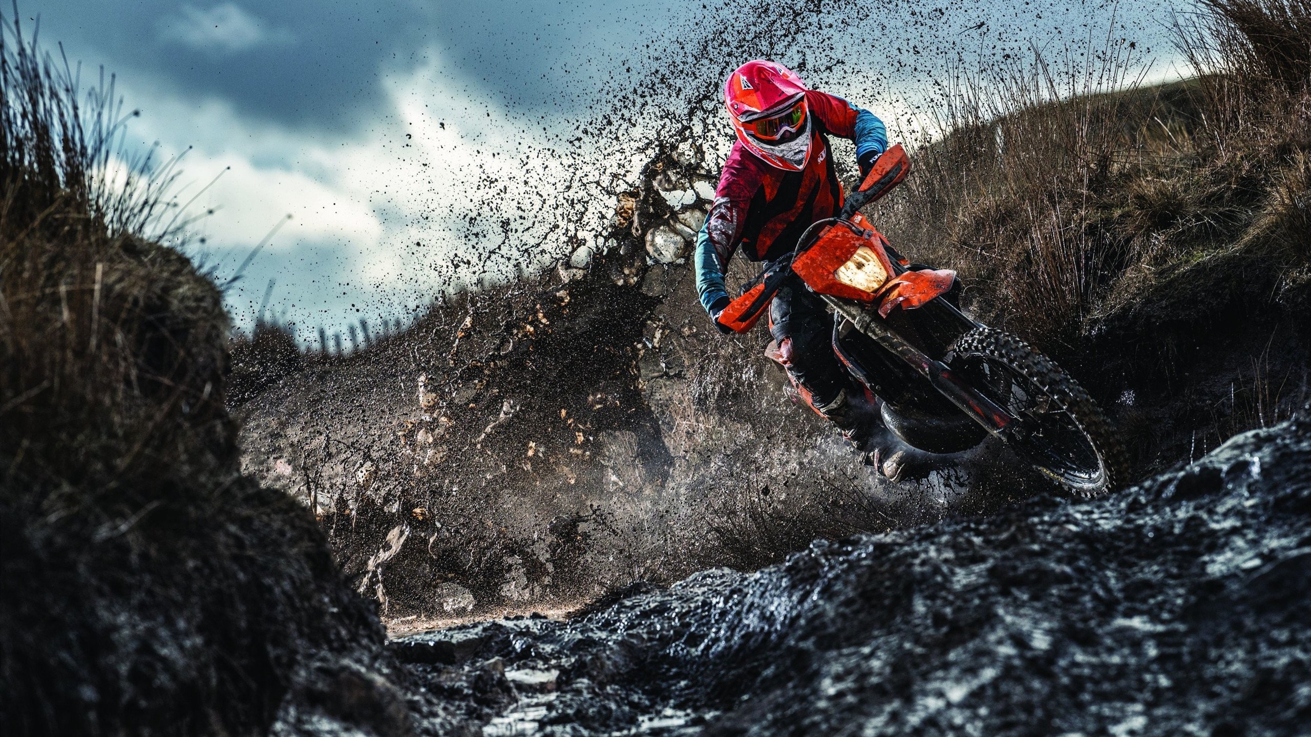 马琳点燃赛场，法国队惊天翻盘中国队的背后